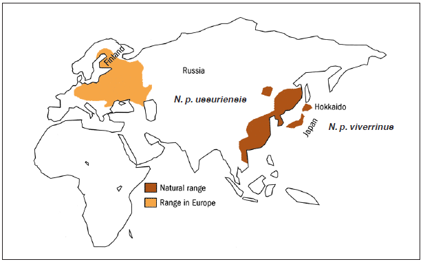 Ursprüngliche Verbreitung (rostbraun) und Ansiedlungsareale ((ocker) des Marderhundes (verändert nach Kauhala und Saeki 2004)