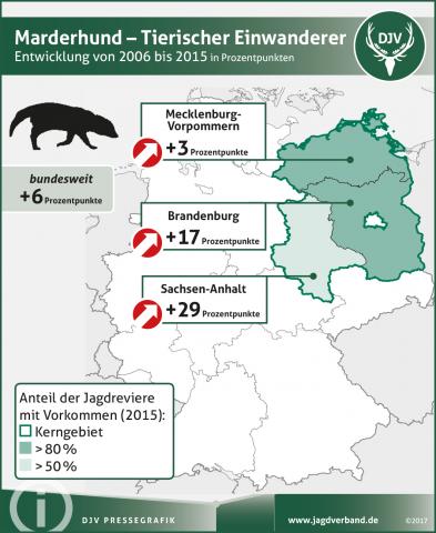Marderhund: Verbreitung 2006-2015