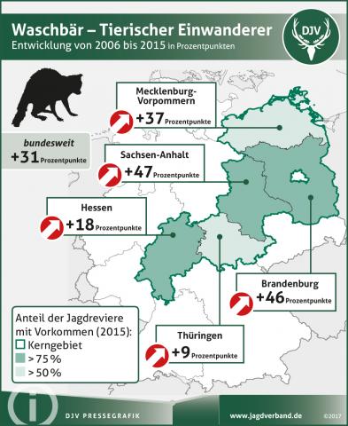 Waschbär: Verbreitung 2006-2015