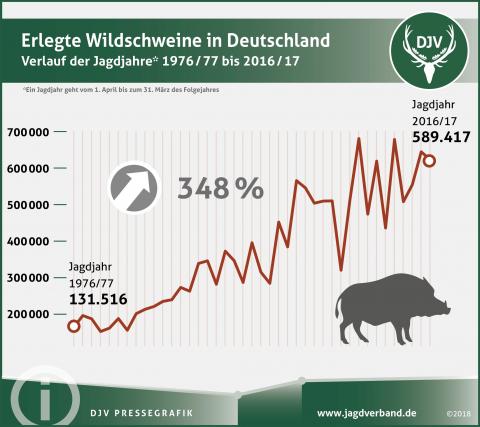 Wildschwein Jagdstatistik 1976/77 bis 2016/17