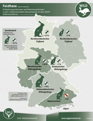 Feldhase - Frühjahrspopulationen und Nettozuwachsraten in den Großlandschaften Deutschlands im Jahr 2019
