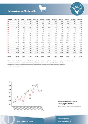 Muffelwild: Jagdstatistik 2009-2020