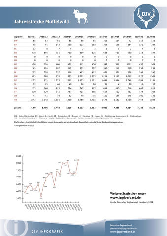 Muffelwild: Jagdstatistik 2020-2021