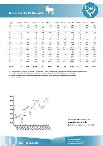 Muffelwild: Jagdstatistik 2012-2023