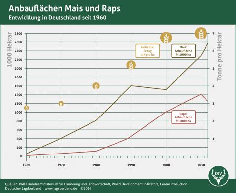 Anbauflächen Mais und Raps in Deutschland seit 1960 