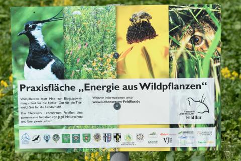 Schild: Praxisflächen Energie aus Wildpflanzen 