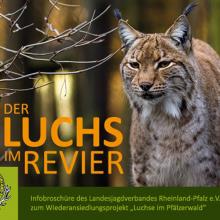 LJV Rheinland-Pfalz stellt die Luchs-Broschüre vor. Luchs-Broschüre LJV Rheinland-Pfalz