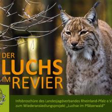 Luchs%202x3.jpg?itok=-MctxS50