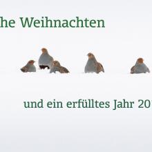 Frohe Weihnachten wünscht der DJV! Frohe Weihnachten