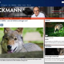 Beckmann_Wolf