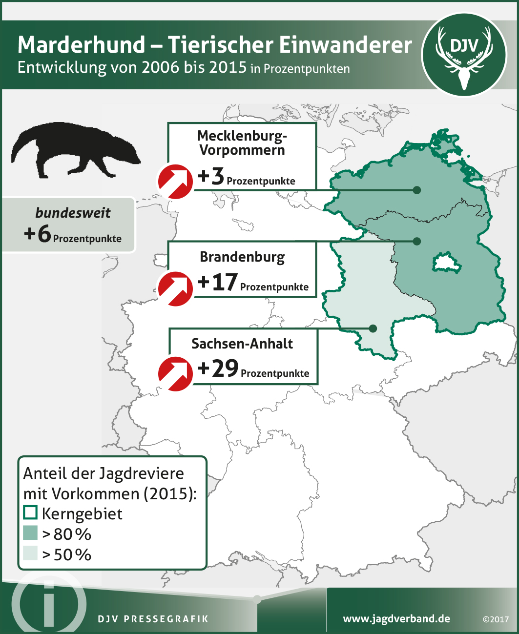 Marderhund: Verbreitung 2006-2015