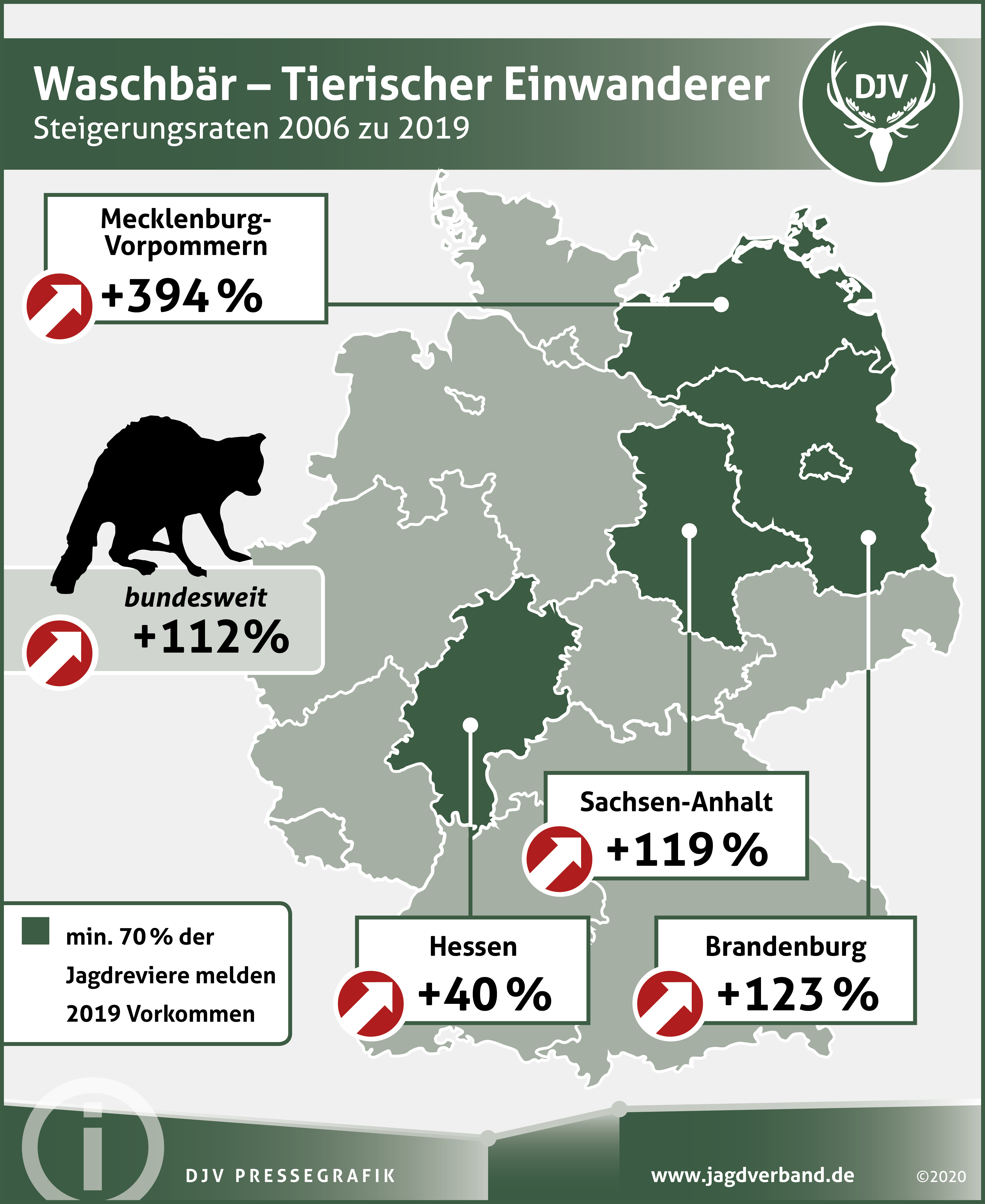 Waschbär, Marderhund und Mink breiten sich aus