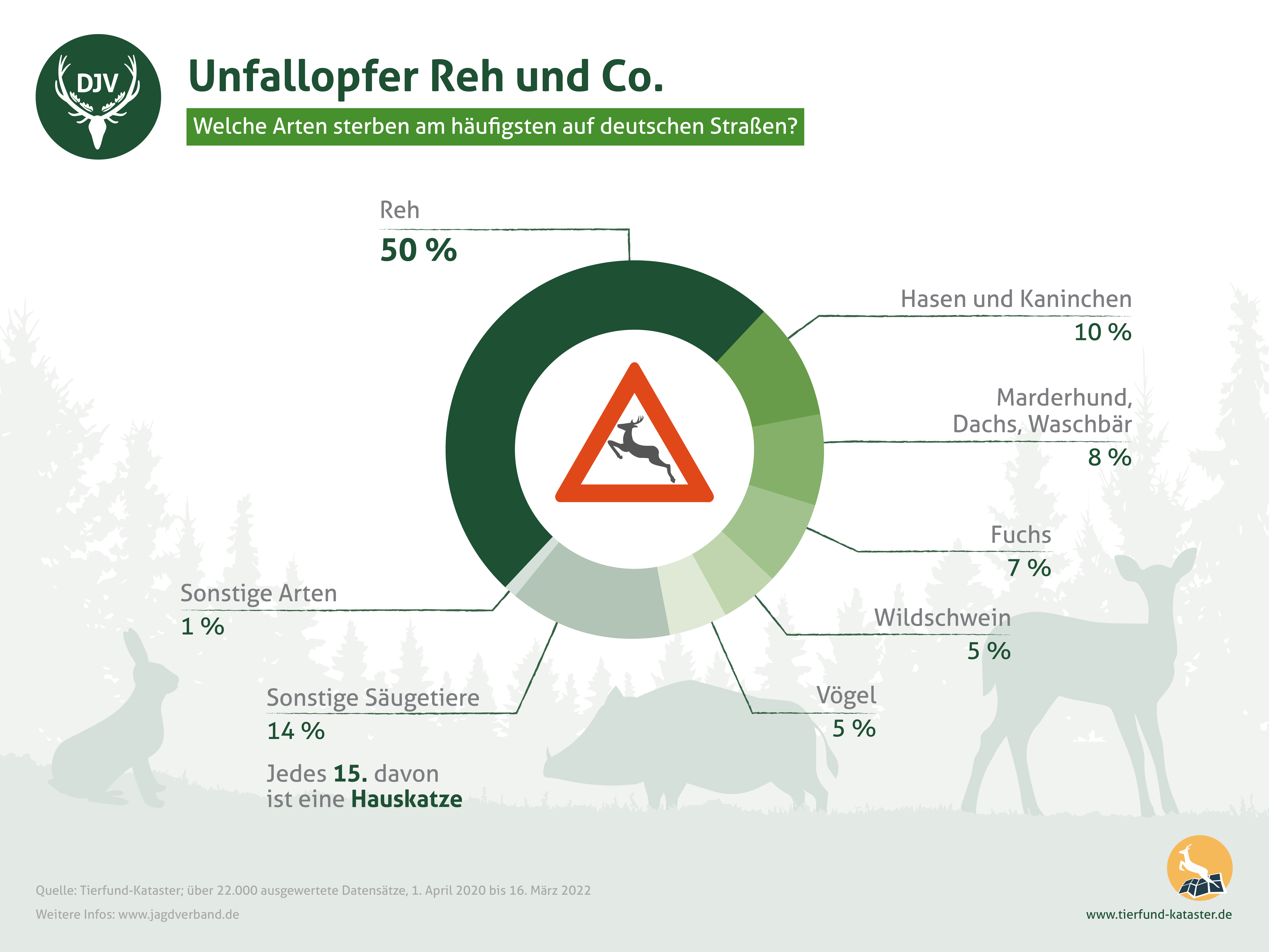 Wildunfall verhindern  Deutscher Jagdverband