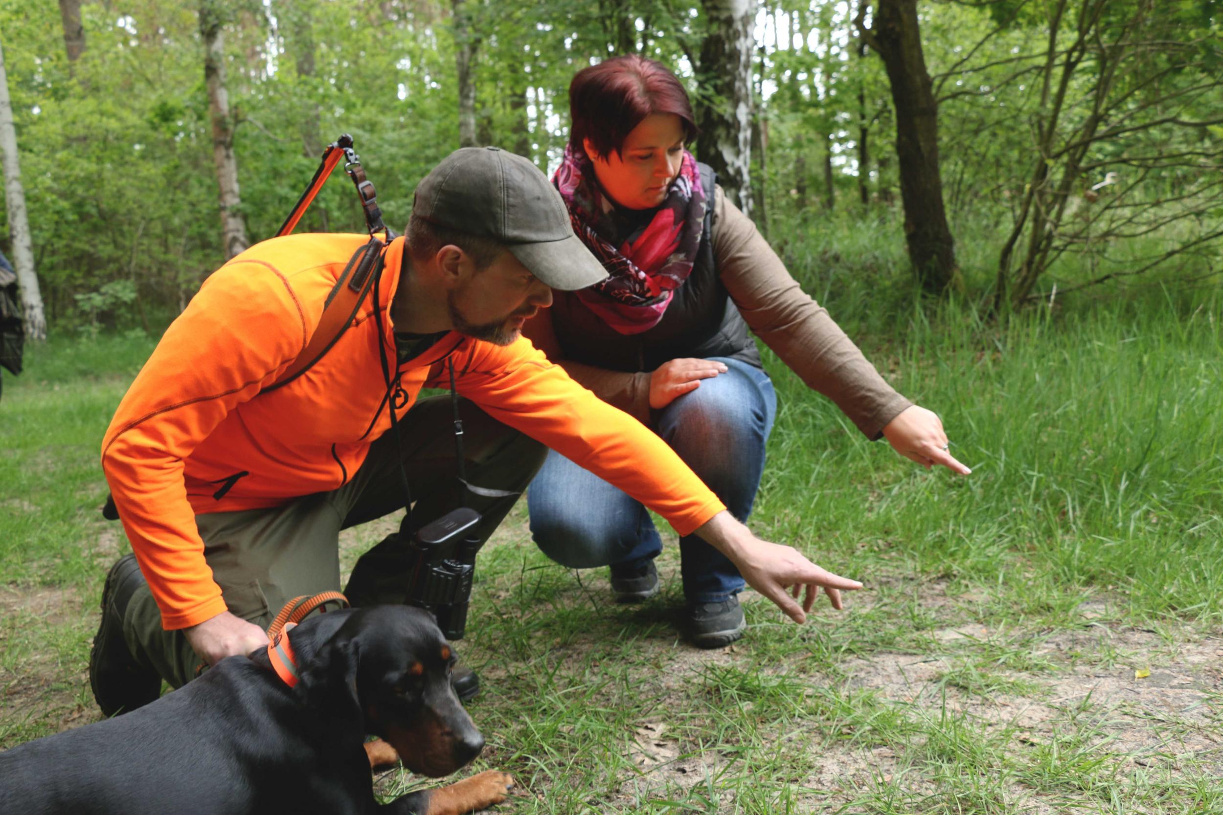 Netzwerken für die Jagd Deutscher Jagdverband