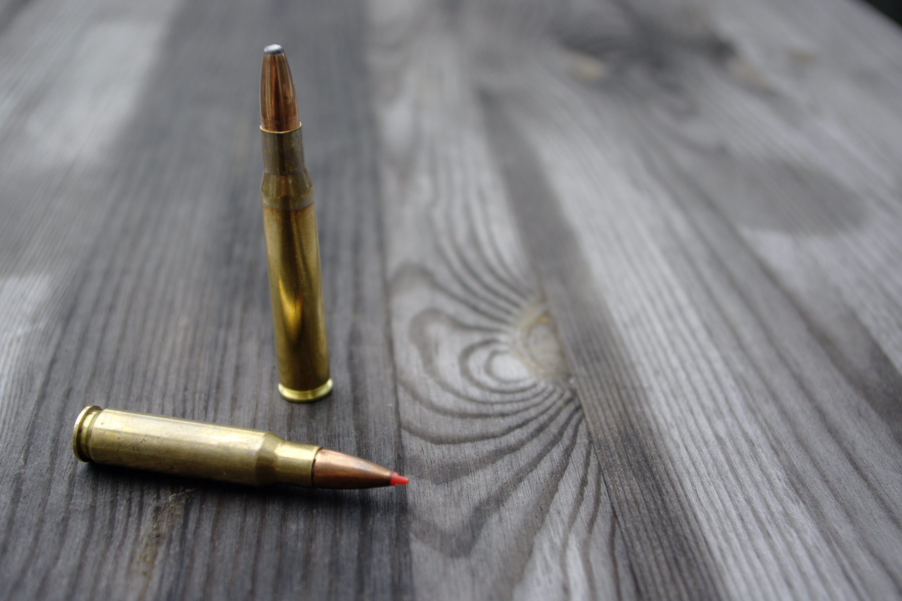 Welche Munition funktioniert? Deutscher Jagdverband