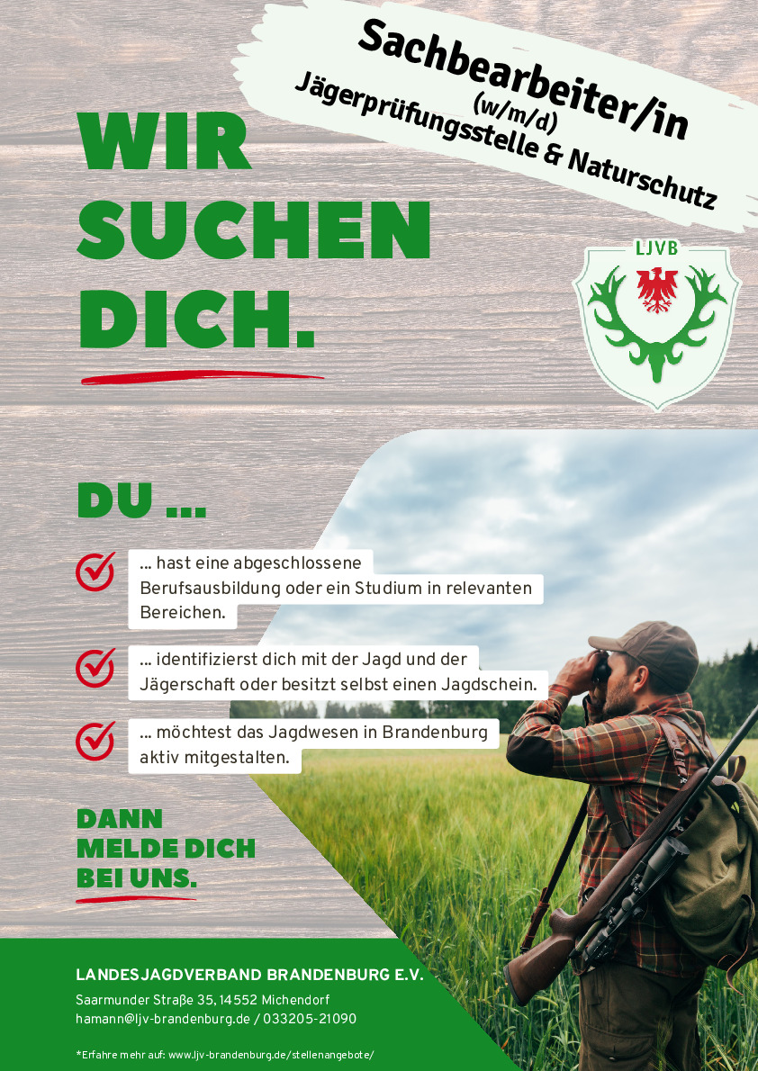 Download Image