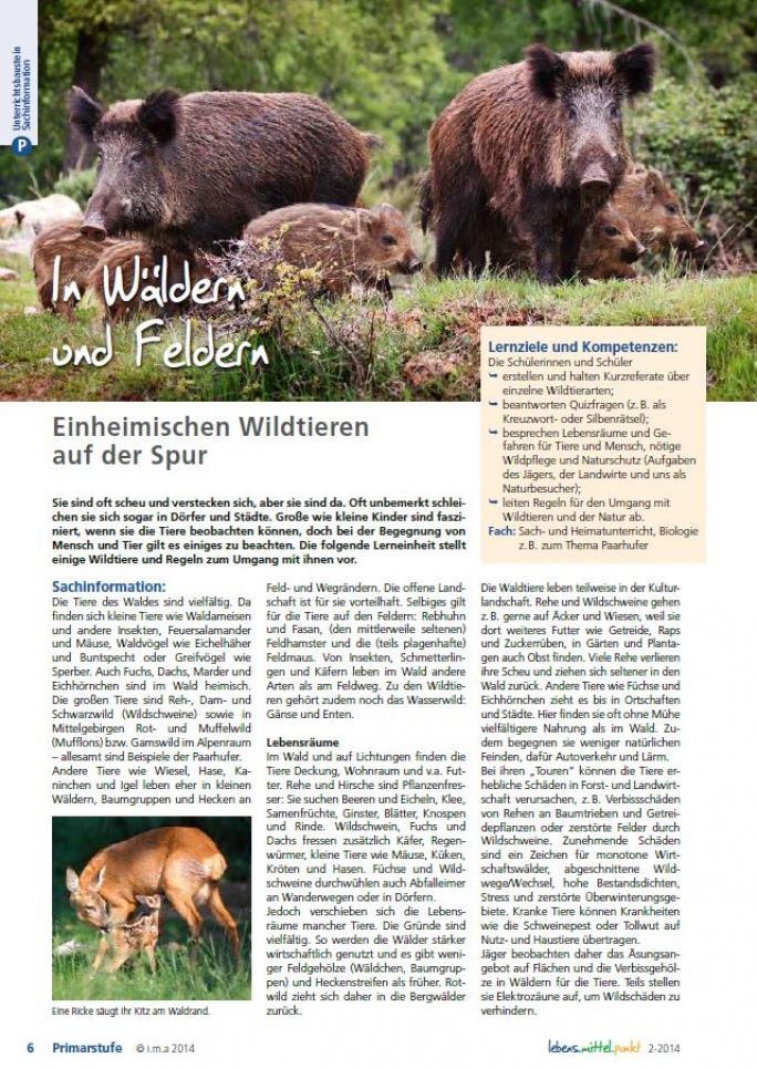 Unterrichtsbaustein Wildtiere (Quelle: DJV) Unterrichtsbaustein Wildtiere