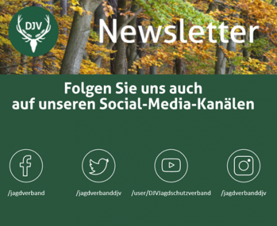 Auf dem laufenden bleiben (Quelle: DJV) Auf dem laufenden bleiben