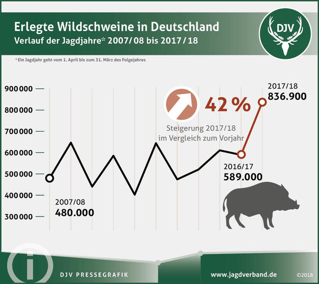 Rekordhoch im Jagdjahr 2017/2018: Noch nie haben Jäger so viele Wildschweine erlegt