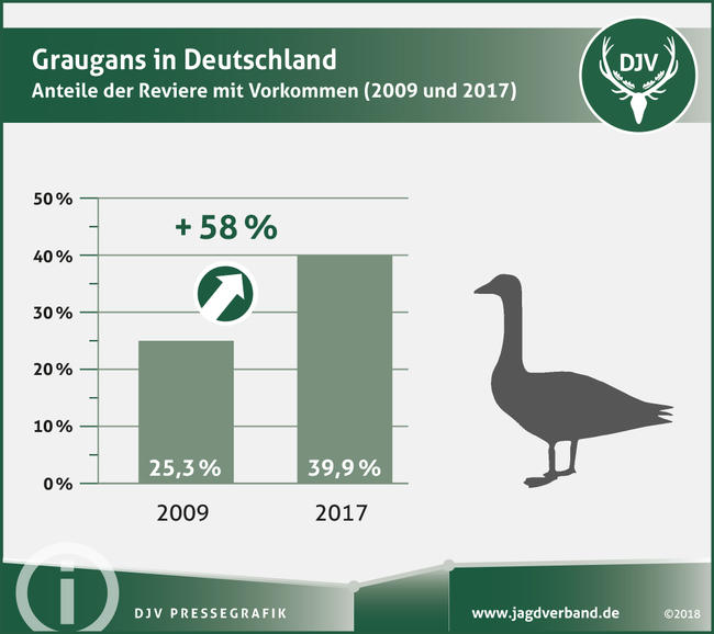 Graugans in Deutschland Anteil der Reviere mit Vorkommen
