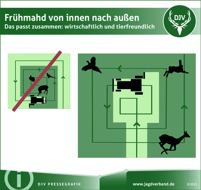 Die Verbände fordern die Politik auf, der Forschungs- und Innovationsförderung zum Schutz von Wildtieren eine hohe Priorität einzuräumen.