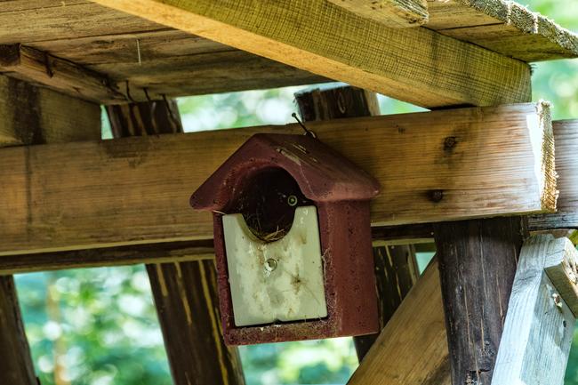 Auch die Pflege und Säuberung von Nistkästen ist im Wald Jägersache.