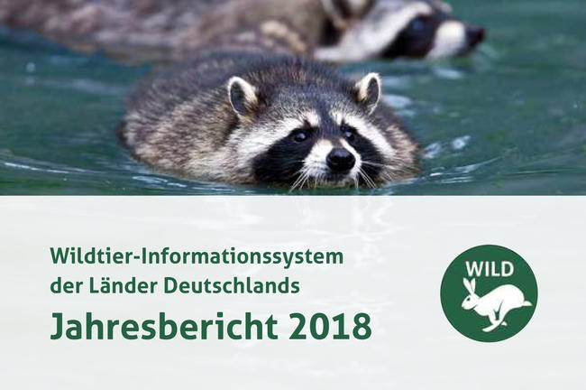 Der DJV hat heute den WILD-Jahresbericht 2018 veröffentlicht.