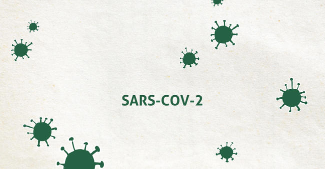 Inzwischen sind in allen Bundesländern Infektionsfälle mit dem neuen Coronavirus (SARS-CoV-2) bestätigt worden.