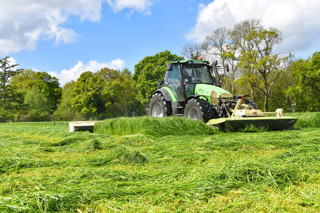 Wildtierschutz bei der Frühmahd: Verbände veröffentlichen Empfehlungen für Landwirte.