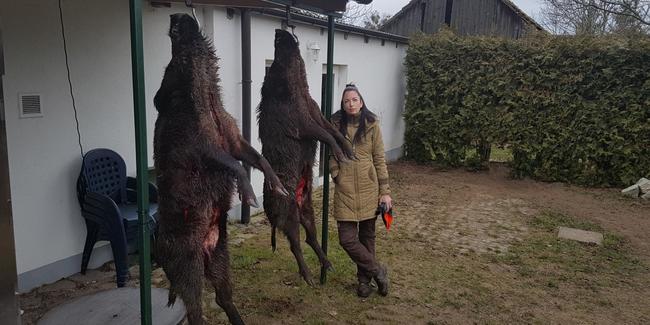 Jägerin mit erlegten Wildschweinen