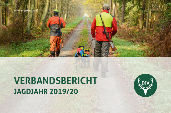 Der DJV hat jetzt seinen Verbandsbericht für das Jagdjahr 2019/20 (1. April bis 31. März) veröffentlicht.