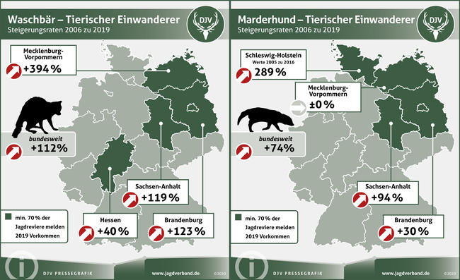 Waschbär und Marderhund: Steigerungsraten 2006 zu 2019