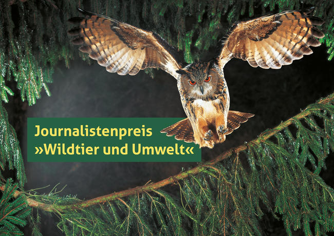 Der DJV vergibt den Journalistenpreis "Wildtier und Umwelt" in den Kategorien Print, Hörfunk, Fernsehen und Online.