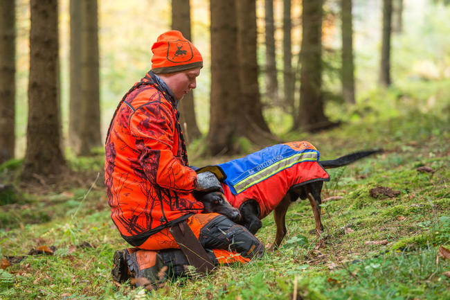 Enge Partnerschaft: In jedem dritten Jägerhaushalt in Deutschland lebt mindestens ein Hund.