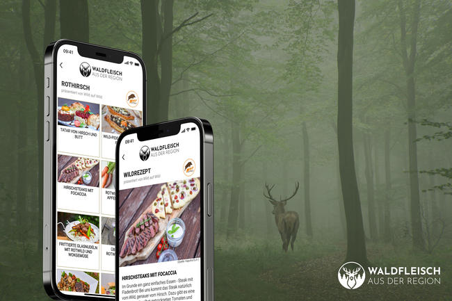 Über 400 „Wild auf Wild“ Rezepte ab jetzt in der Waldfleisch-App abrufbar.