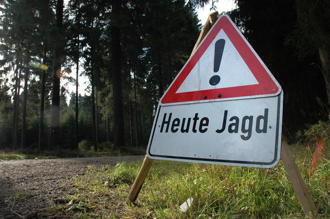 Zahl der Jagdunfälle erreicht 2021 einen Tiefstand. Sicherheit wird großgeschrieben.