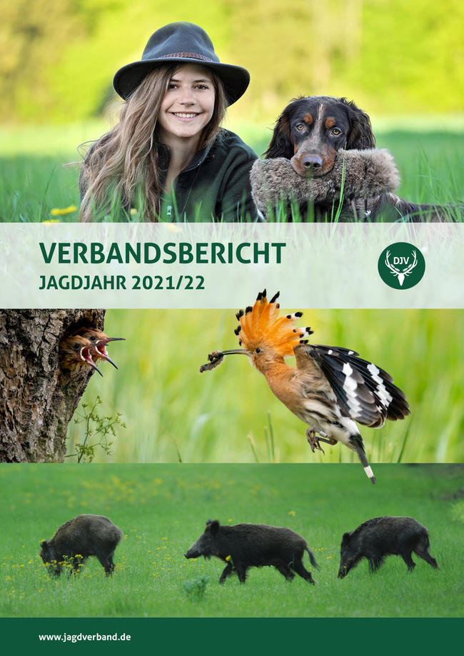 Der DJV hat jetzt seinen Verbandsbericht für das Jagdjahr 2021/22 (1. April bis 31. März) veröffentlicht.