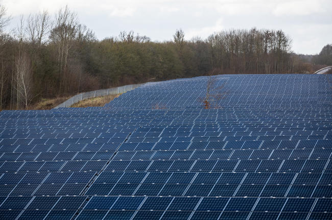 DJV-Positionspapier enthält Forderungen und Kriterien für den wildtierfreundlichen Bau von Photovoltaik-Freiflächenanlagen.