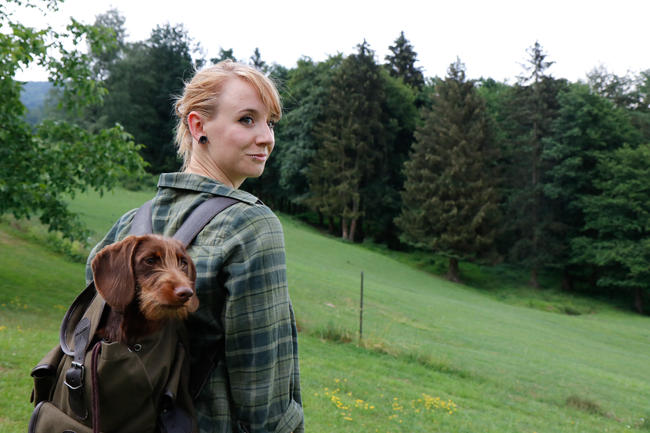 Besonders beliebt in Jägerhaushalten: der Dackel.