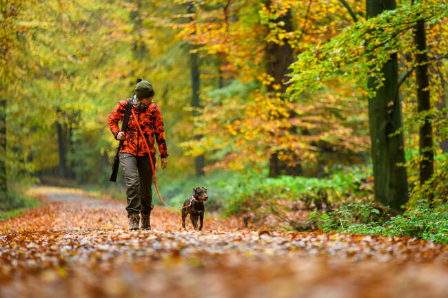 Immer mehr Frauen entscheiden sich für den Jagdschein: 2022 lag der Jägerinnen-Anteil bei 11 Prozent.
