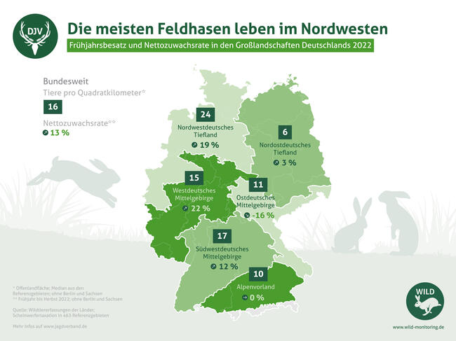 Das Nordwestdeutsche Tiefland ist besonders hasenreich: Hier leben bis zu 24 Tiere pro Quadratkilometer.