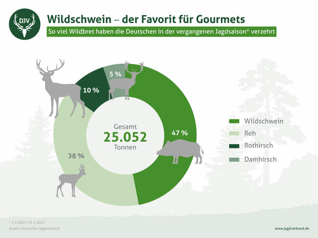 Verzehr von Wildbret in Deutschland 2022/23: Spitzenreiter ist das Wildschwein.