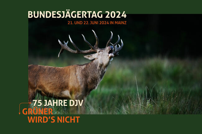 DJV startet auf Bundesjägertag 2024 in Mainz die Kampagne "Grüner wird's nicht".