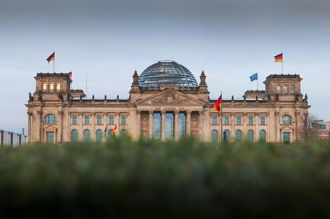 Waffenrecht, Wolf oder Waldumbau im Fokus: DJV-Kernforderungen zur Bundestagswahl 2025 jetzt online.