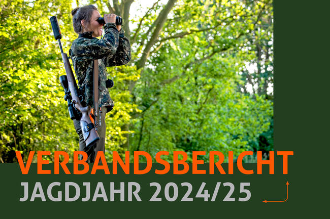 Der DJV hat jetzt seinen Verbandsbericht für das Jagdjahr 2024/25 (1. April bis 31. März) veröffentlicht.