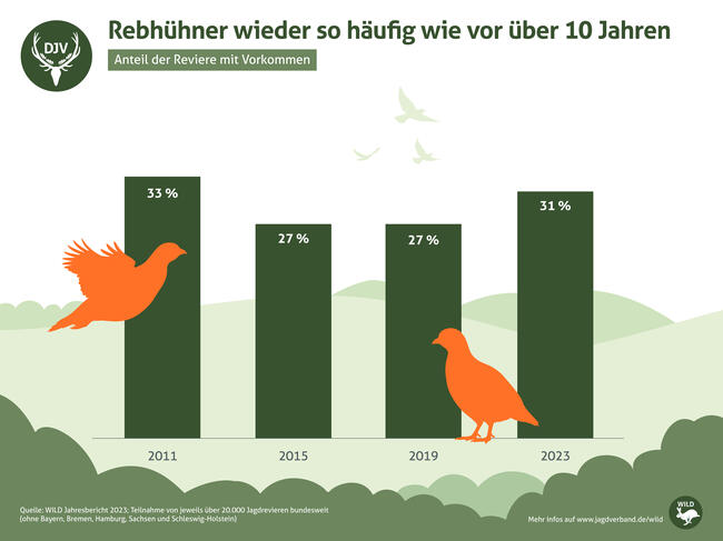 Der Rebhuhnbestand erholt sich nur leicht