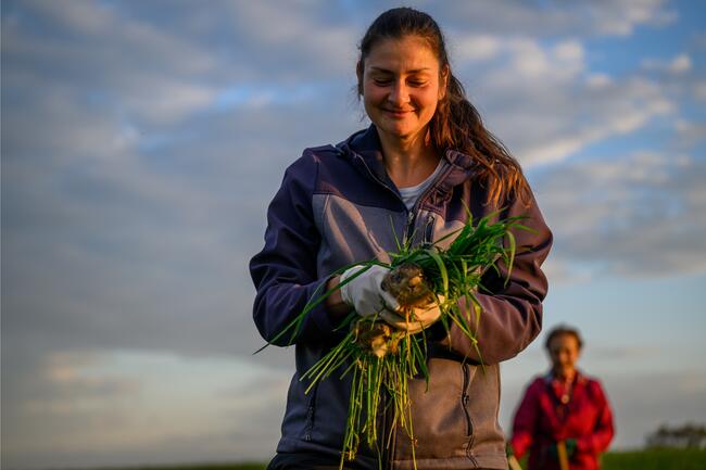 Jungwild vor dem Kreiselmäher retten: Ehrensache für viele Jägerinnen und Jäger.