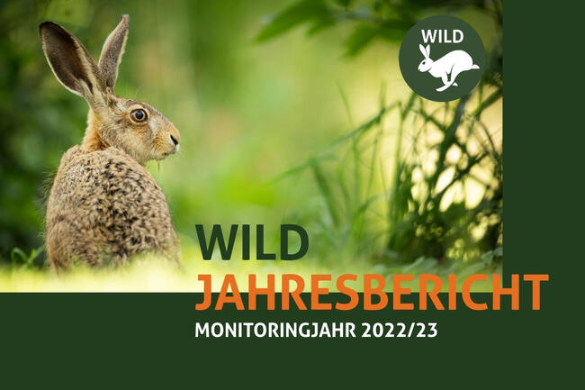 Der WILD-Bericht ist kostenlos digital und gedruckt verfügbar.