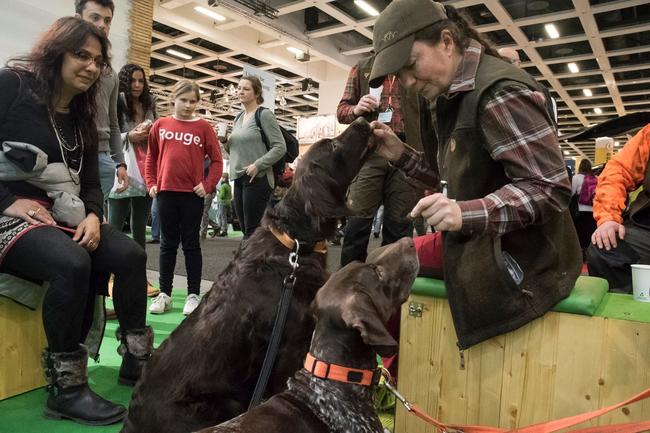 Alexandra Weibrecht mit zwei Jagdhunden am Messe-Stand des DJV in Halle 4.2