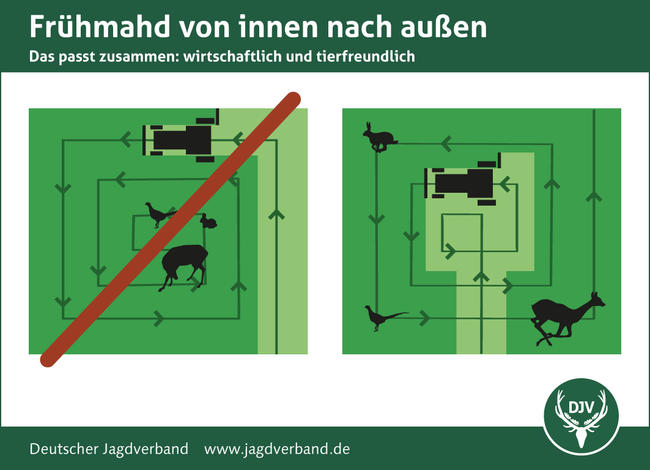 Von innen nach außen mähen rettet Wildtierleben